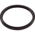 Silicone RGBW Light Gasket, Pool Zodiac, Light, LED