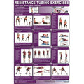 and Laminated Tubing Legs, Chest Triceps CRTLL Back, Productive Resistance - Fitness Biceps,