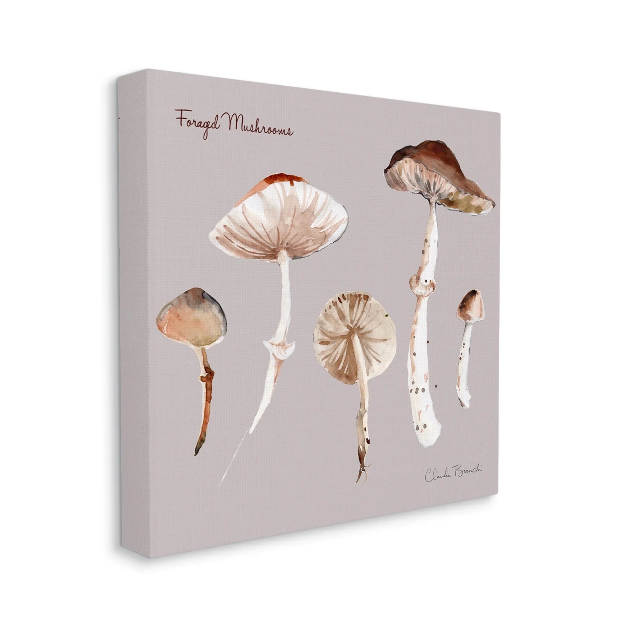 Botanical Floral Mushrooms 36 Art, Wrapped 36 & Canvas Painting Study x Gallery Foraged Stupell Print Wall Industries Art