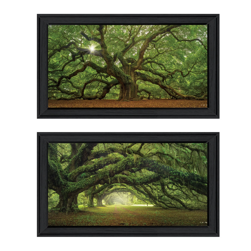 Arbors" Moises Frame Vignette by Black 2-Piece "Tree Levy,