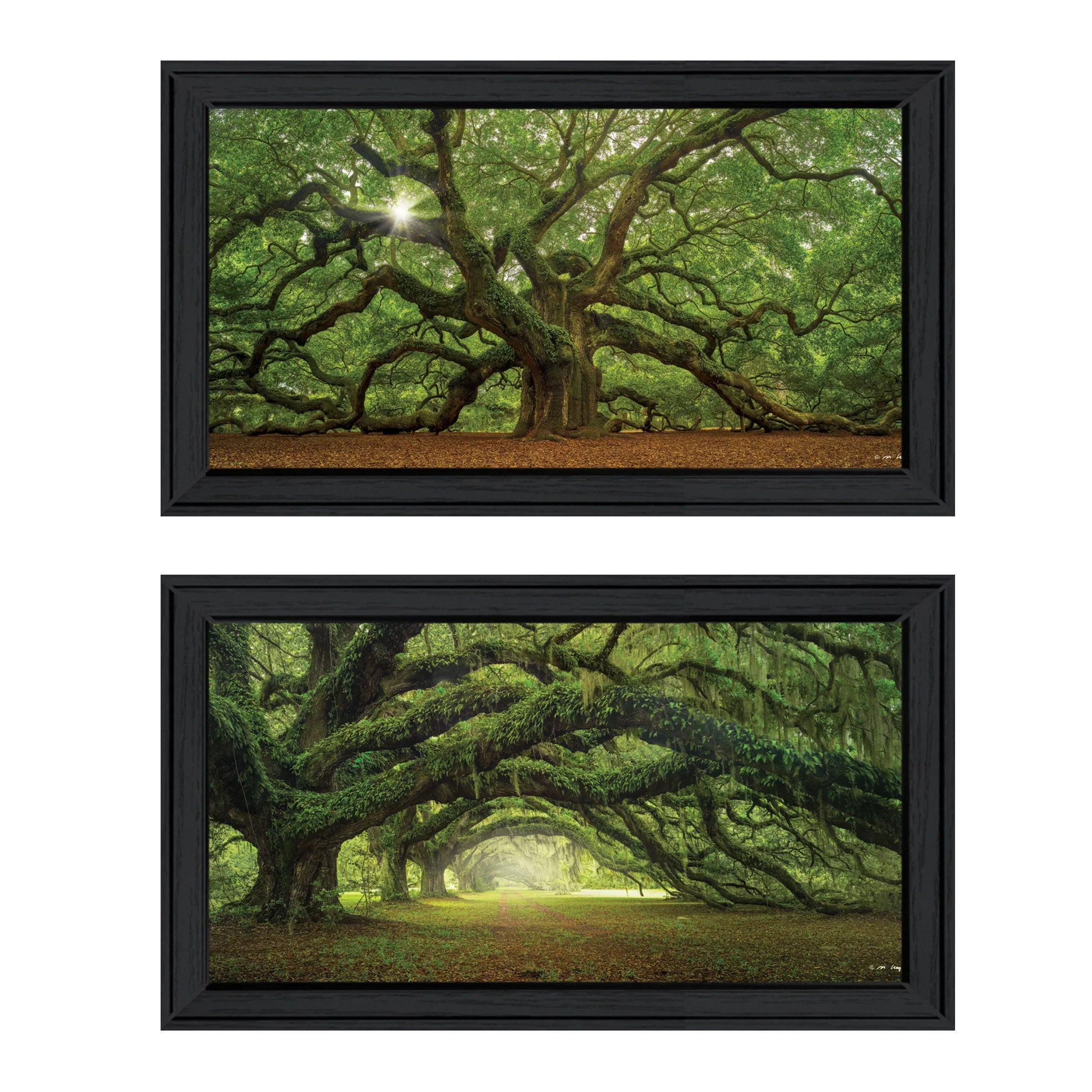 Arbors" Moises Frame Vignette by Black 2-Piece "Tree Levy,