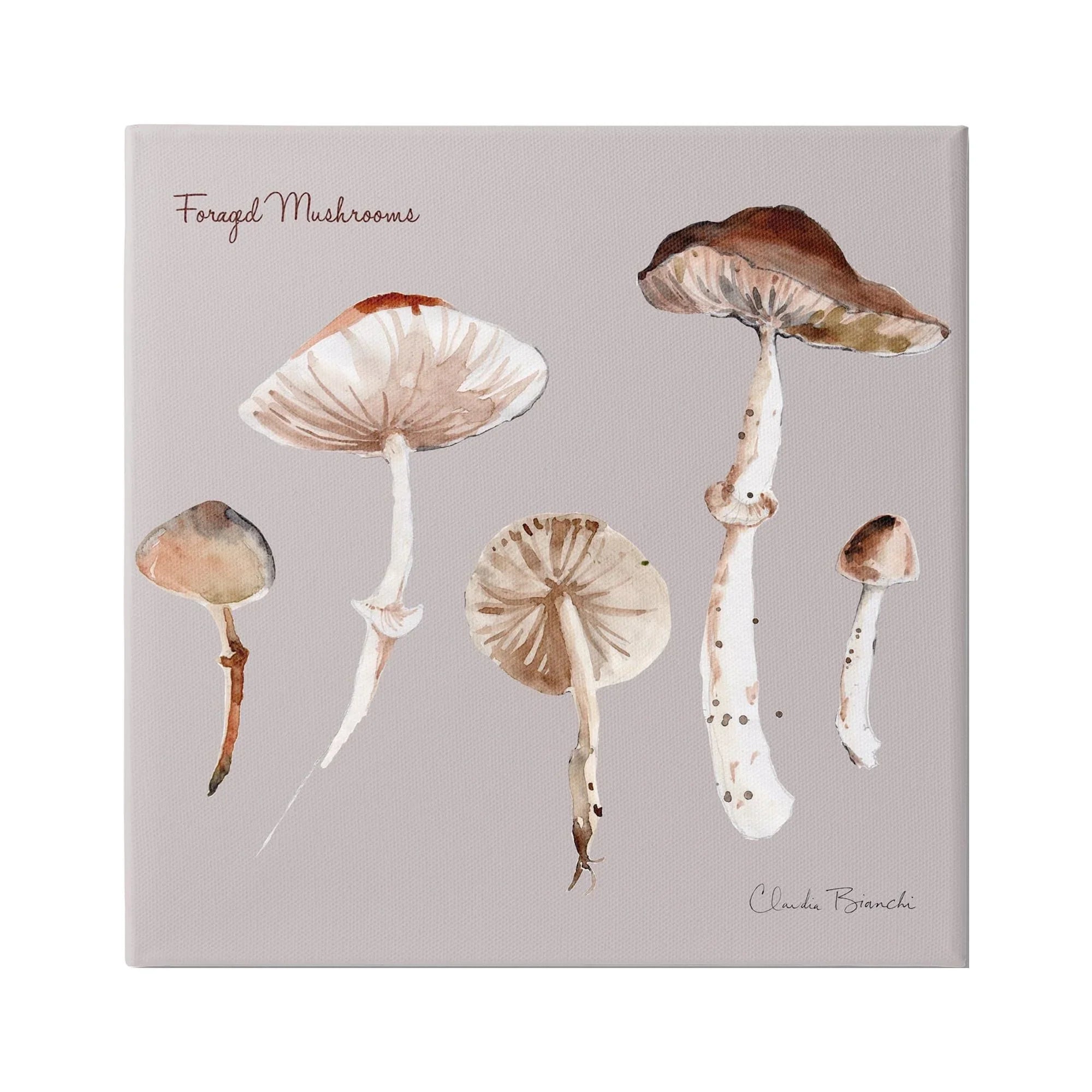 Botanical Floral Mushrooms 36 Art, Wrapped 36 & Canvas Painting Study x Gallery Foraged Stupell Print Wall Industries Art