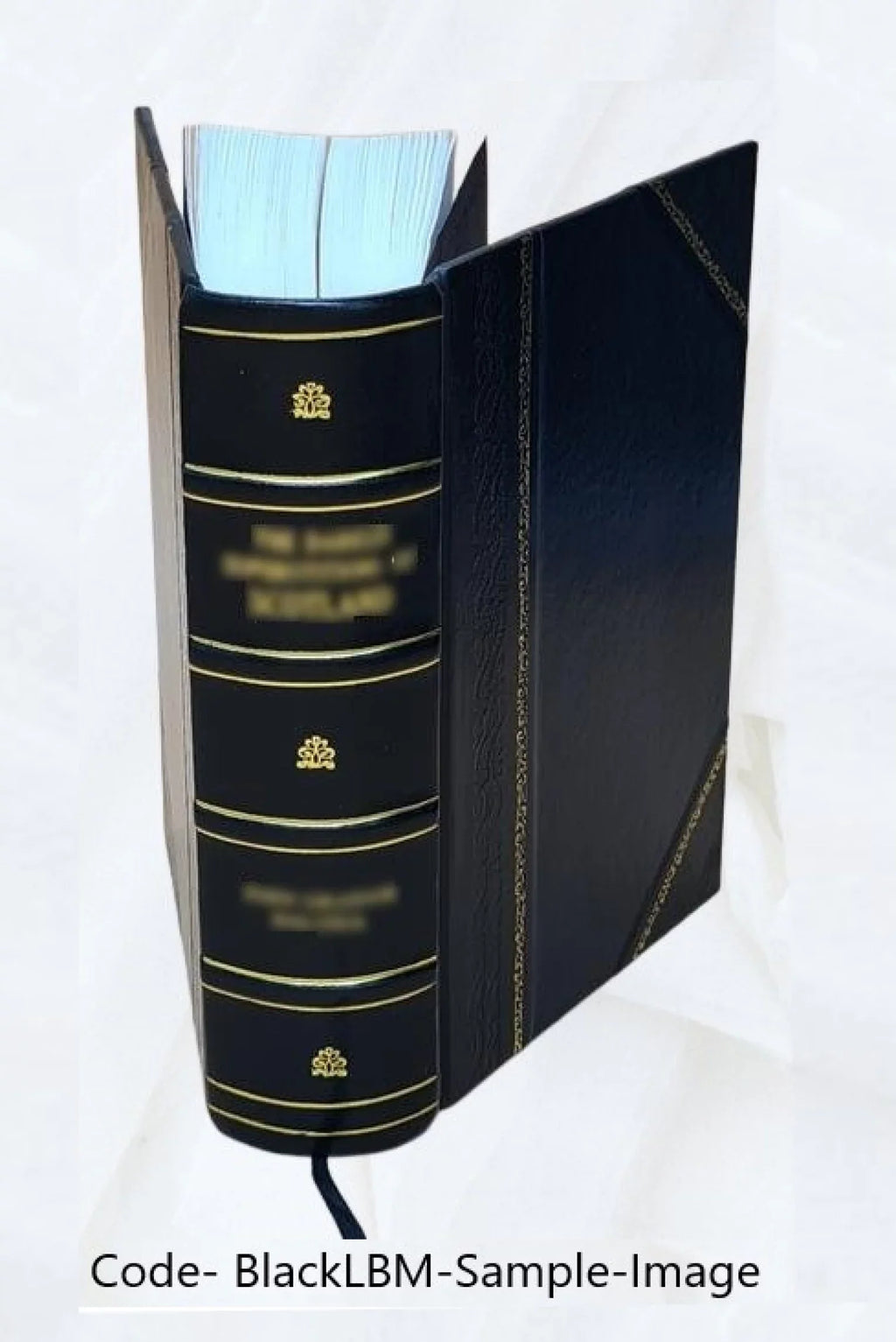 specielle Die Bound] Therapie. 6 [Leather 1818