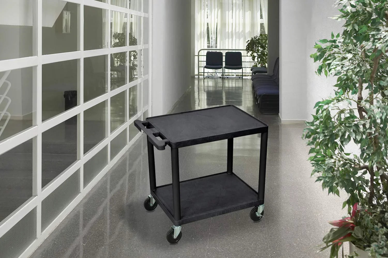 '- 26"H wo Shelves AV Car