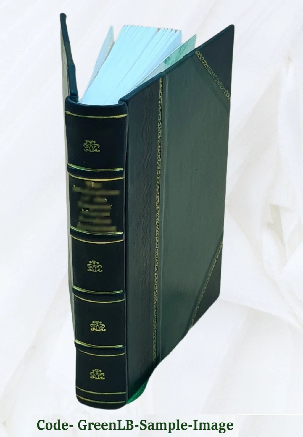 Department, States of Guard. 1981 [Leather Volume 4, Treasury States 1981 Canada Light Bound] / United and list. United the Coast Lakes Great Vol.