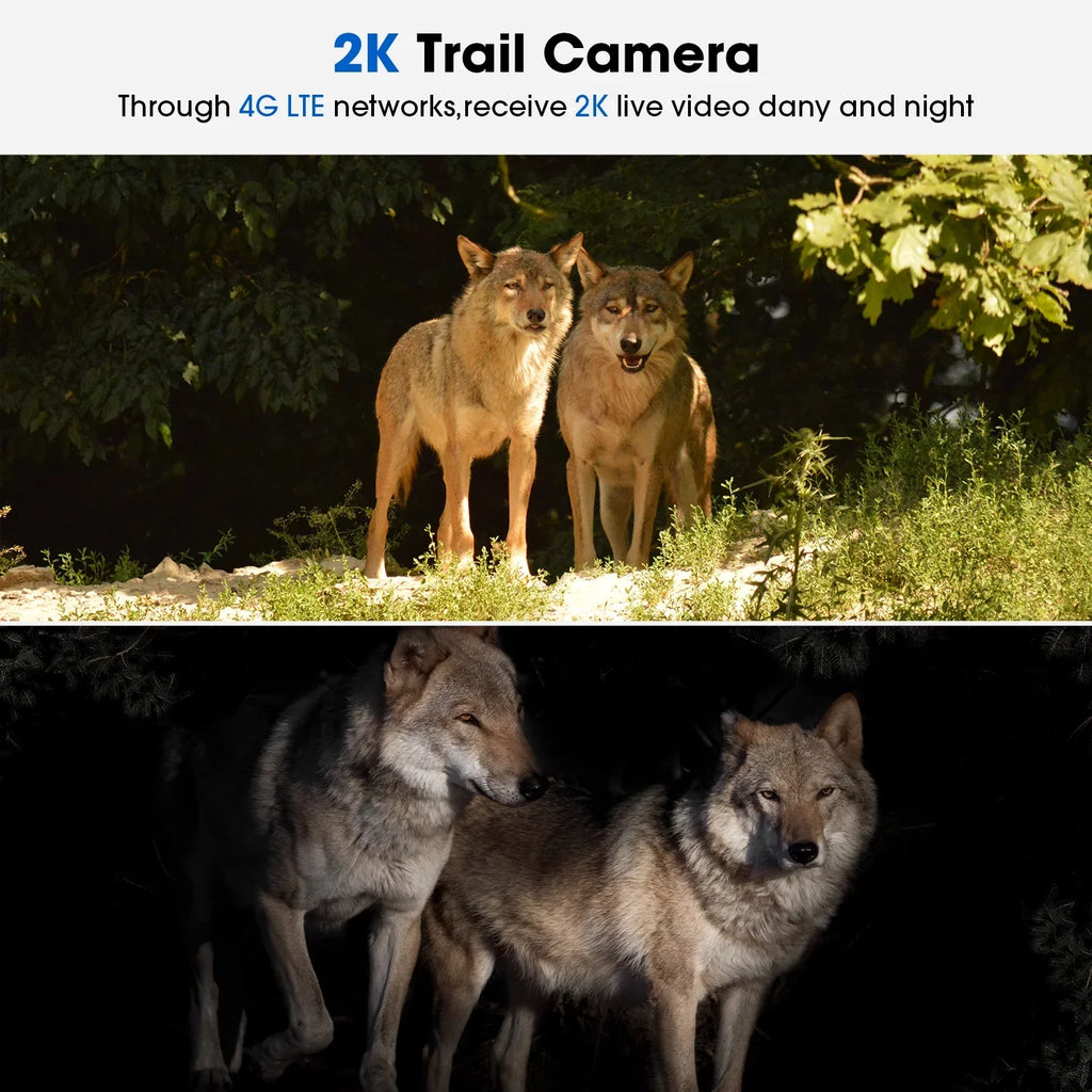 2K Card Motion, View, Cloud &SD Security 360°Pan with PIR Live Trail Cam Night Storage, Waterproof, 4G LTE, Hunting WiFi No SIM Camera Wireless Solar Vision, Camera CAMPARK 90°Tilt, Cellular with Game
