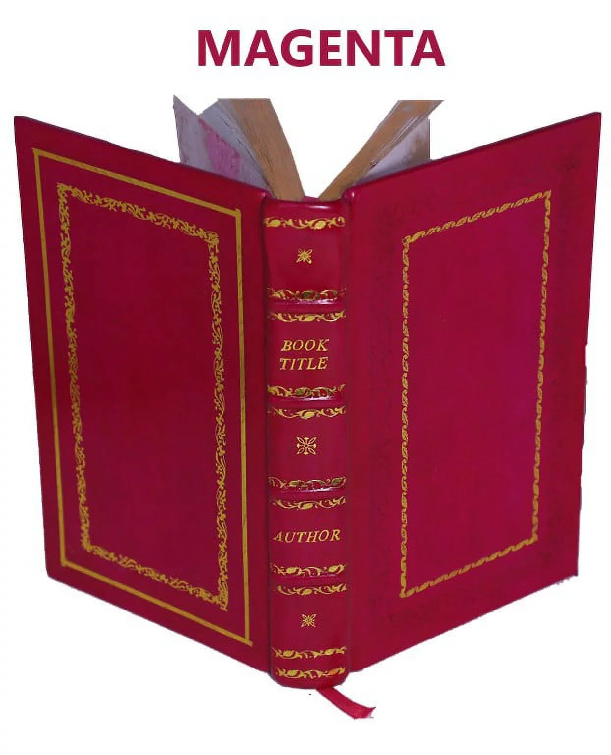 Bound] memoirs. Mambrino of [Premium 1904 The helmet King Leather Clarence