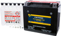 Fire Free With (JT1500-L) Ultra Compatible CTX20L-BS Battery Power 2015-2016 Maintenance 310X Kawasaki
