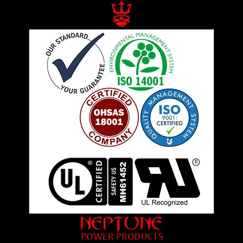 Battery SLA Pack 2 Electric Replacement Neptune 300 EVO 10Ah - Scooters 12V by