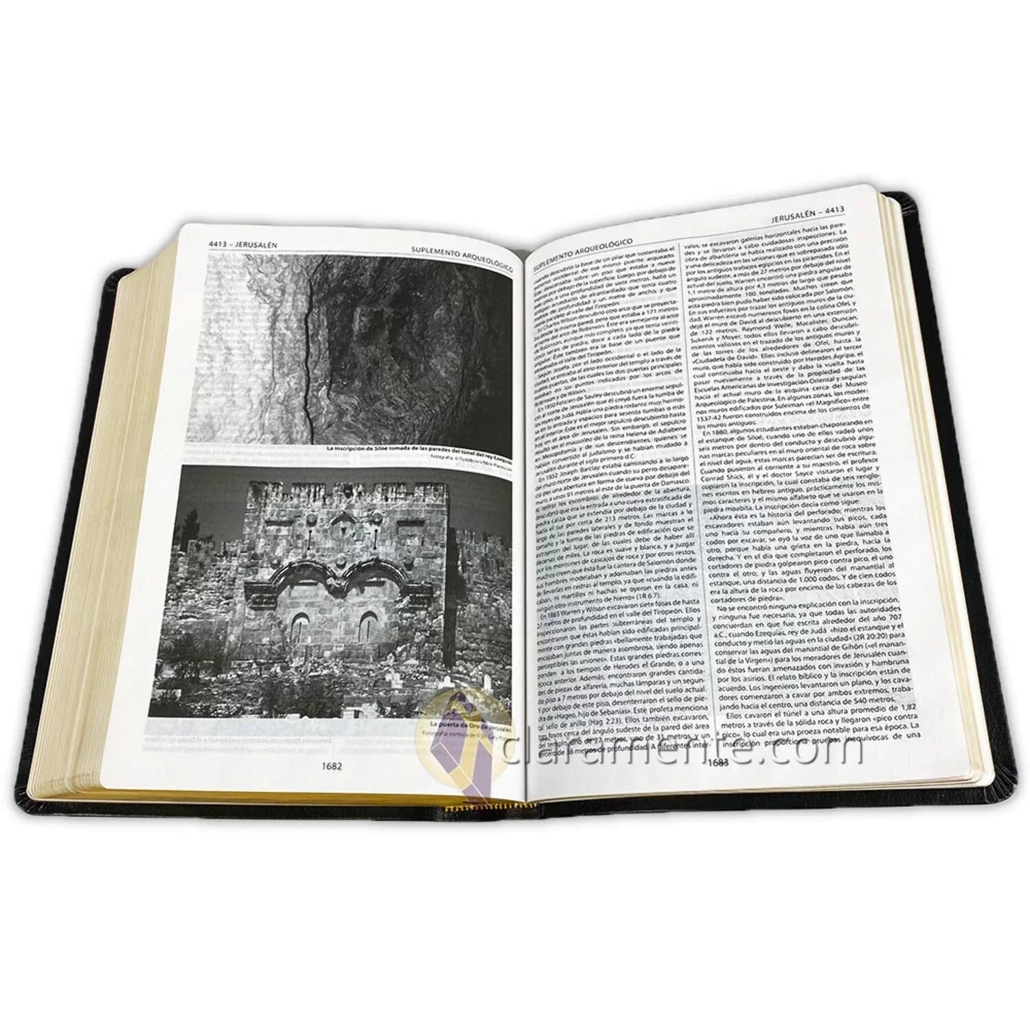 Valera Biblia Leather Fibers de 1960, 1960, Reference Piel Referencia Reina Valera Recycled Reina Reciclada/ Spanish Thompson, Bible, Thompson (Other) Chain