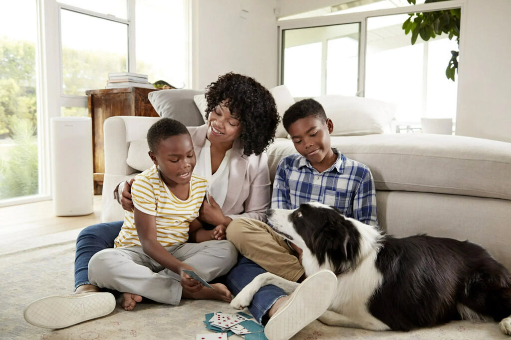 HVAC 4 Smart Allergen, Air Filters Filter, & 12, 1500 Virus MPR, Bacteria by Filtrete 14x24x1, Furnace and MERV 3M