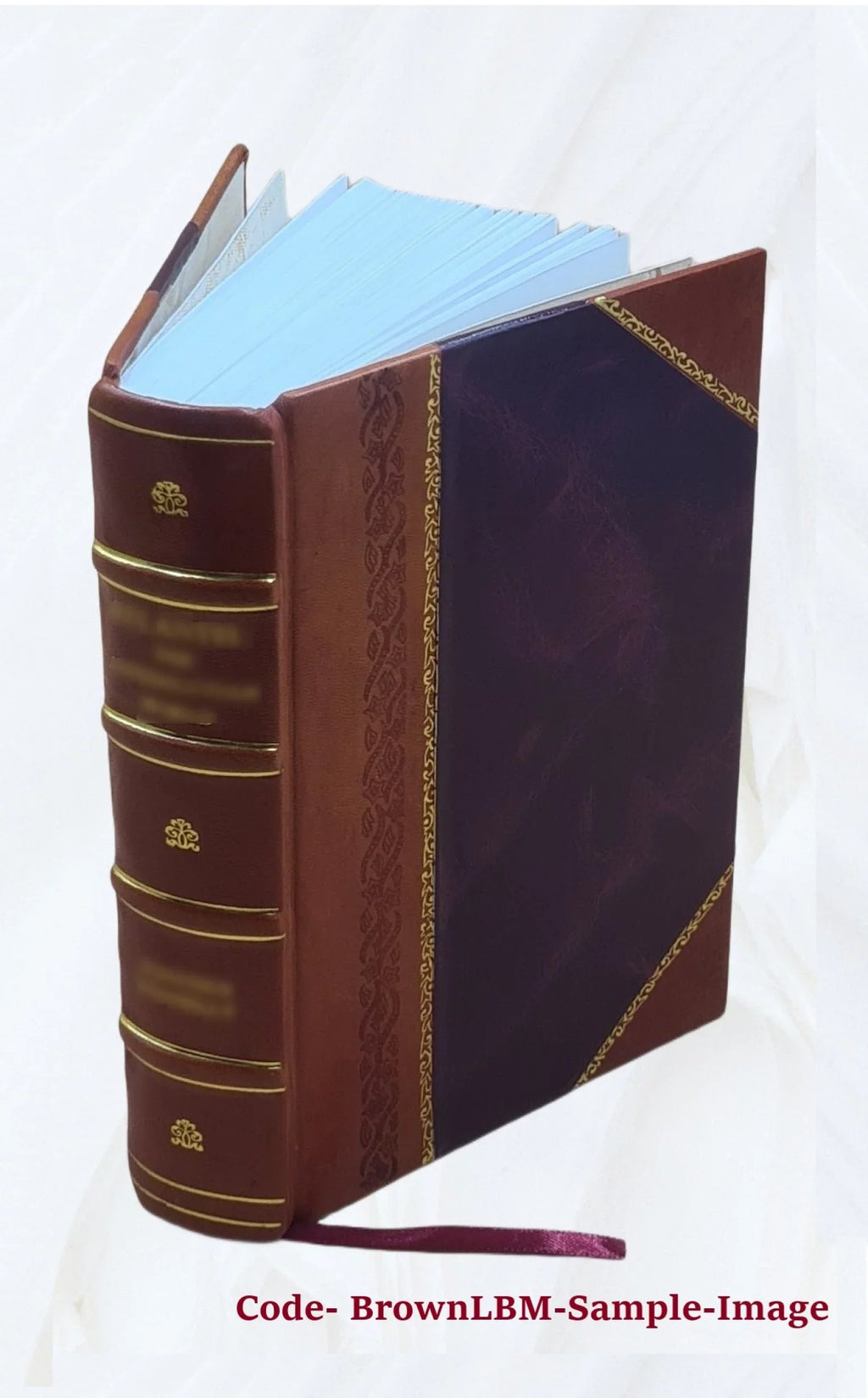 Paquis Lembke, Histoire 3. 1157 Bound] Bossi, depuis de par la etc. d'Espagne [Leather mort Aschbach, jusqu'à M. Charles l'an 1838 Dunham, D'apres Ferreras,