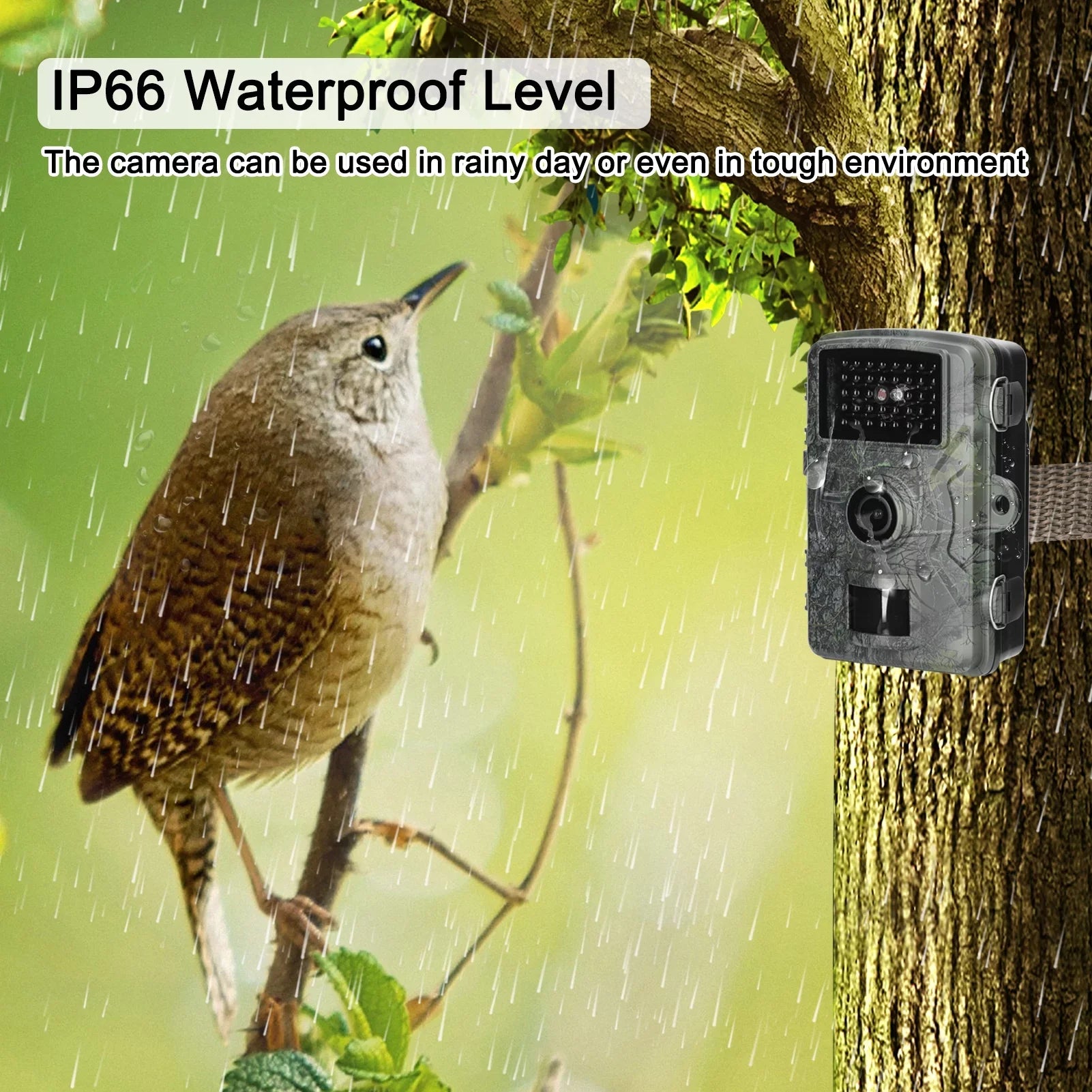 Camera with Waterproof, 1080P 16MP our Moments Infrared Wildlife IP66 Lights Tomshoo Portable Capture Trail