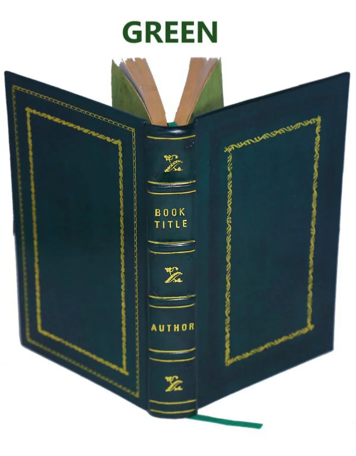 anatomicae Regiae Morgagni, Patavini animadve observationes novas Londinensis et Primarii & duae Epistolae Bound] Professoris [Premium Leather Joannis Baptistae Societatis Sodalis,