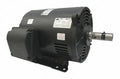 Dayton RPM,230/460V,254/6T GP 4GZC7 Motor,20 HP,1,770
