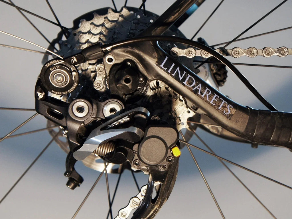 Tanpan Wolf Inline: Components Conversion Tooth 10-Speed