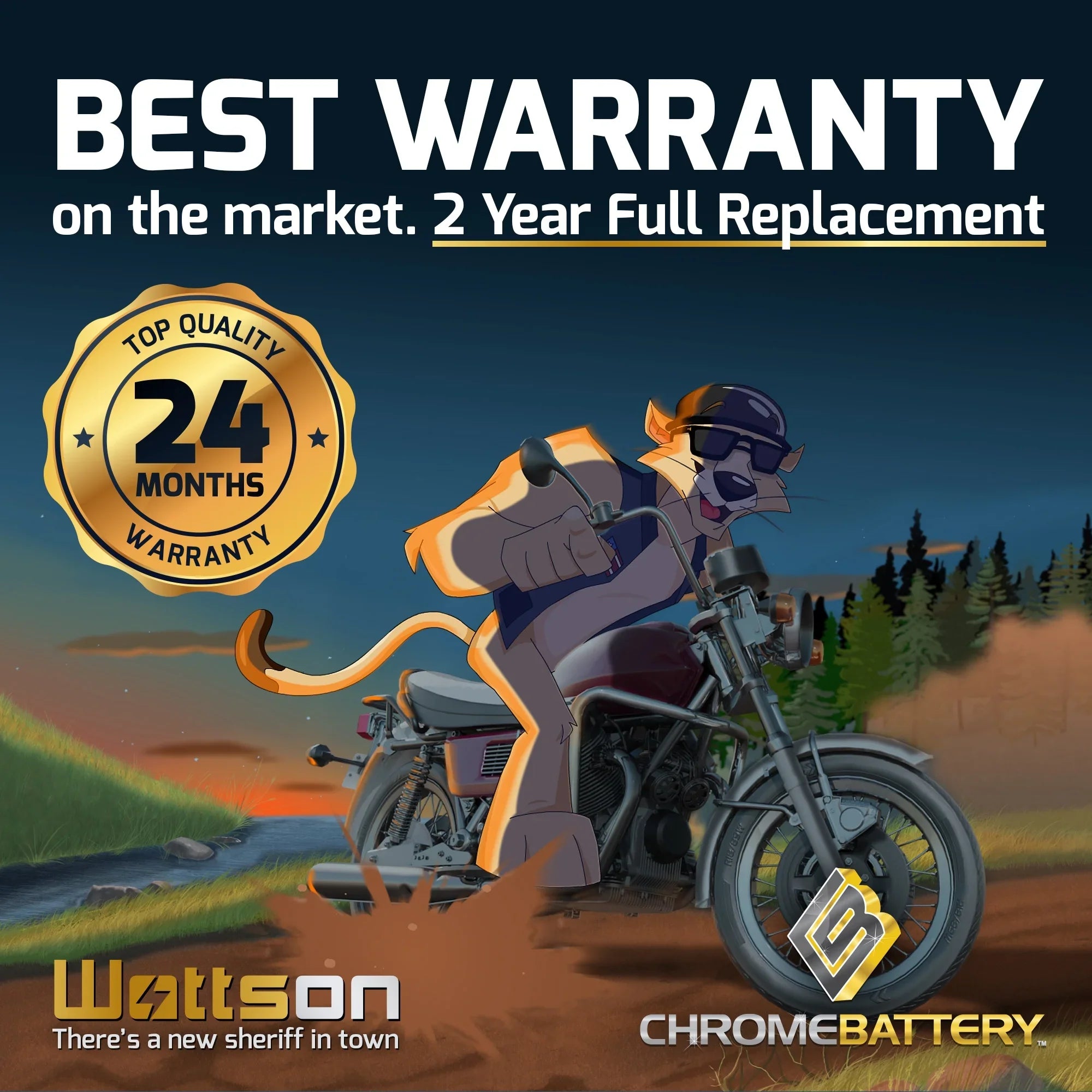 Stx (20hl-bs Battery 12 Kawasaki Replacement for Ytx20hl-bs Pro Volts,18 Ah, Cca) Jt750 Battery 1998 Sts, 310 Chrome