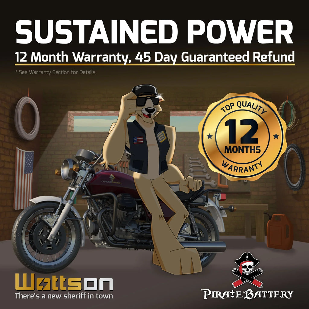 (spirit, Shadow Battery 200 C3, CCA) Battery Aero, Honda 12 E. YTX14-BS T Vt1100c, (14-BS Ah, 1100cc Volt,12 C. Pirate Motorcycle A. Tourer) for 2005