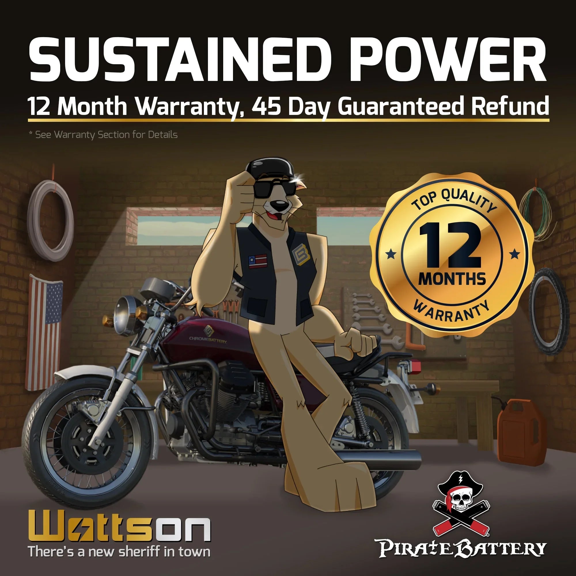 (spirit, Shadow Battery 200 C3, CCA) Battery Aero, Honda 12 E. YTX14-BS T Vt1100c, (14-BS Ah, 1100cc Volt,12 C. Pirate Motorcycle A. Tourer) for 2005