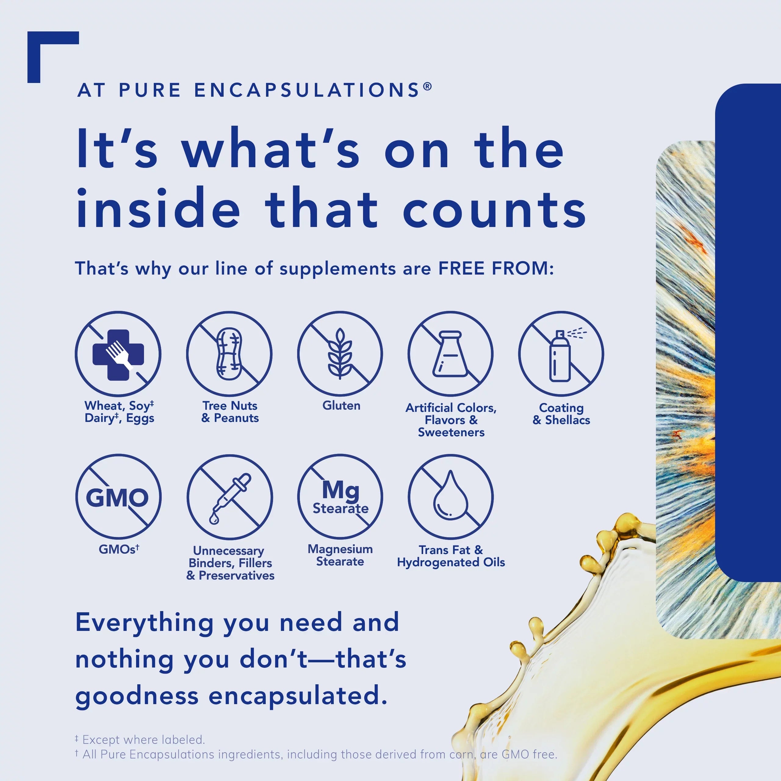 with Associated 60 Clarity, Brain Supports Encapsulations | Memory | Pure and Concentration, Brain Fog Capsules* Reset