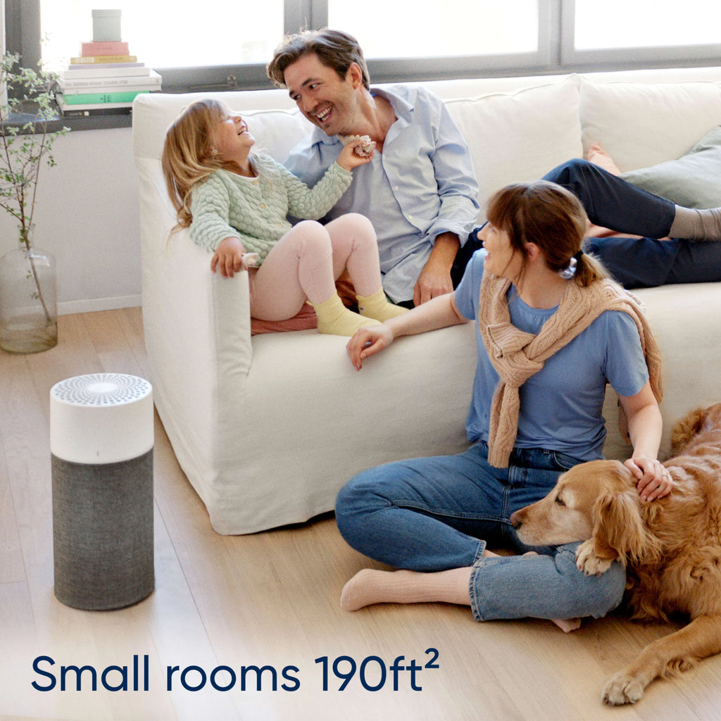 Room Air Smoke, Bacteria Purifier and with Dander, Blue Washable for HEPA Pure Allergies, Pollen, Viruses Dust, Blueair and Pre-Filter with Mode Pet 411 Silent Auto Small Technology Auto