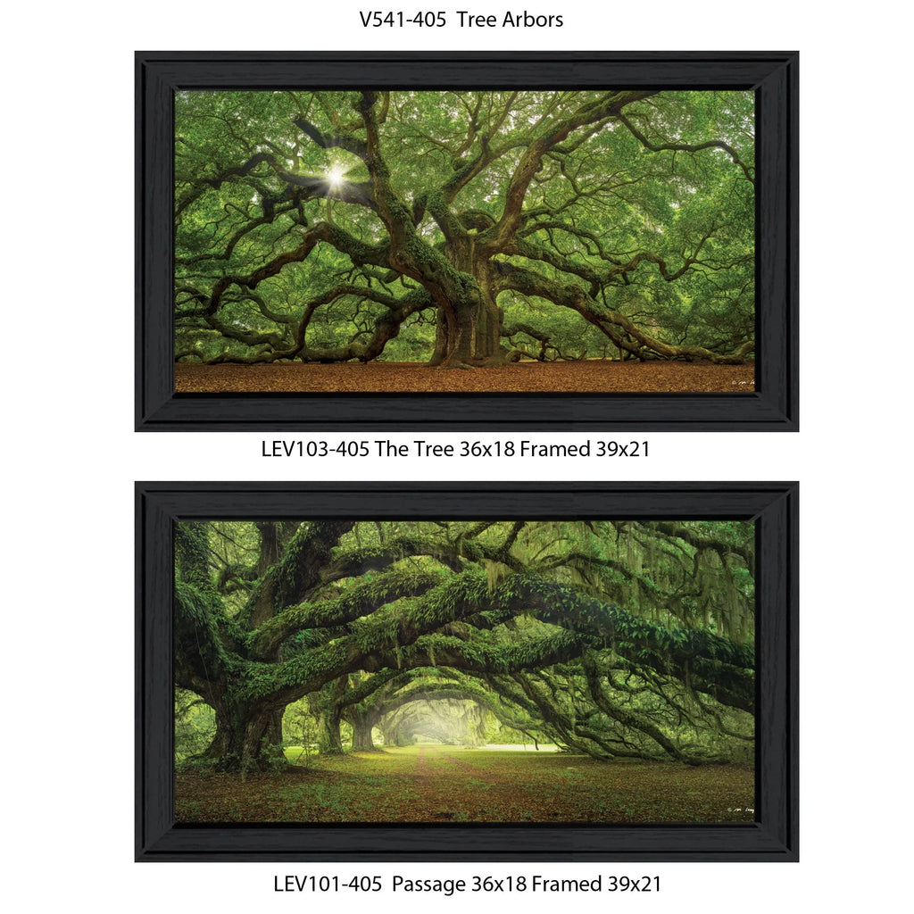 Arbors" Moises Frame Vignette by Black 2-Piece "Tree Levy,