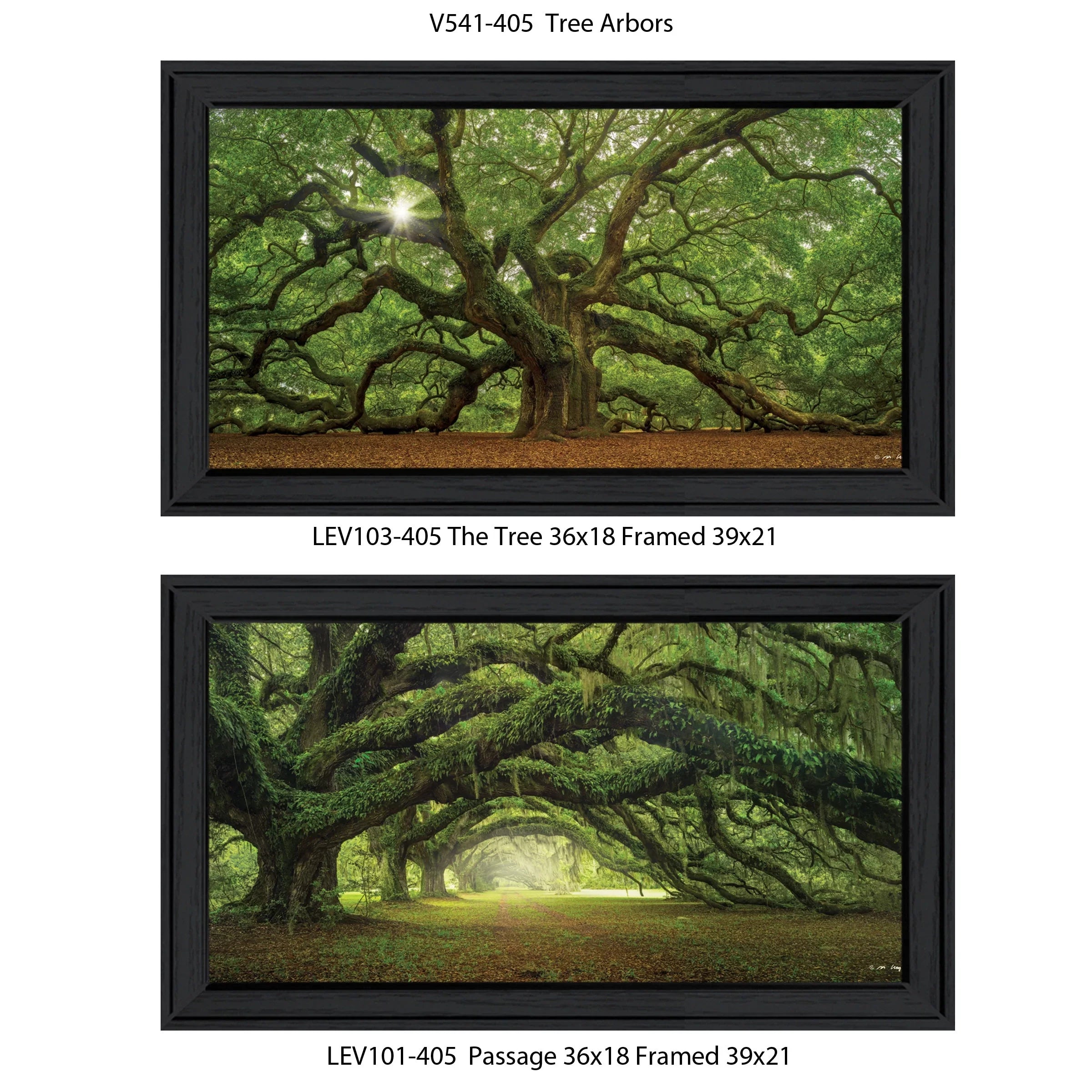 Arbors" Moises Frame Vignette by Black 2-Piece "Tree Levy,