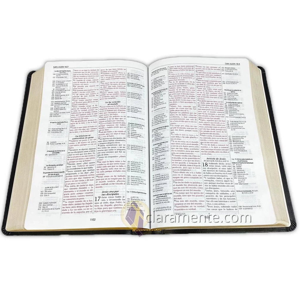 Valera Biblia Leather Fibers de 1960, 1960, Reference Piel Referencia Reina Valera Recycled Reina Reciclada/ Spanish Thompson, Bible, Thompson (Other) Chain