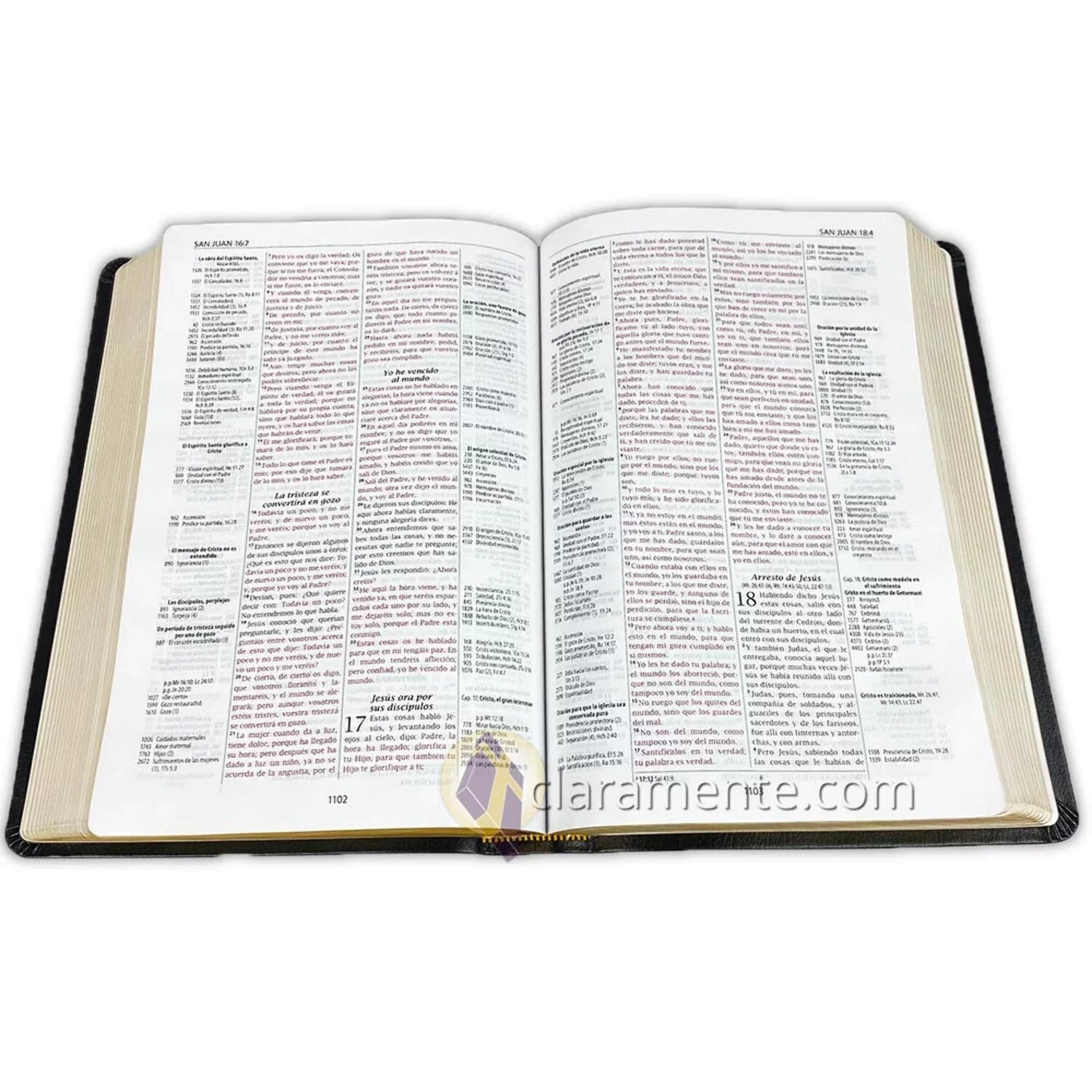 Valera Biblia Leather Fibers de 1960, 1960, Reference Piel Referencia Reina Valera Recycled Reina Reciclada/ Spanish Thompson, Bible, Thompson (Other) Chain
